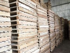 Kinh Nghiệm Lựa Chọn Pallet Gỗ