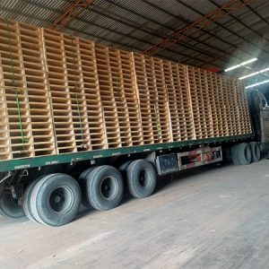 Pallet kê hàng trong kho Pallet kê hàng trong kho